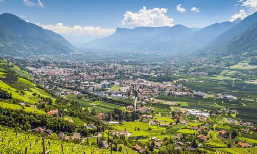 View to Merano South Tirol with mountains and wine branches